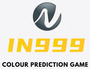 IN999 logo